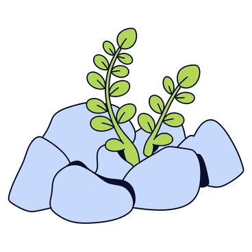 A small fern plant with vibrant green leaves is growing on the side of a rocky mountain. The fern has delicate fronds that gracefully unfurl, contrasting with the rugged, gray rocks surrounding it. The rocky surface is uneven and textured, highlighting the strength of the fern as it thrives in this challenging environment. Sunlight gently illuminates the scene, casting soft shadows on the plant and the rocks.