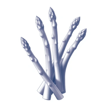 A monochrome drawing of a bunch of asparagus. The asparagus spears are arranged upright, showcasing their elongated shape and tapered tops. The texture of the spears is detailed, highlighting the rough, knobby sections and the smooth areas. Some spears are slightly bent, adding a sense of naturalness. Light and shadow play across the surface, emphasizing the depth and curves of the asparagus. The overall composition is balanced, with the spears positioned closely together to create a cohesive image.