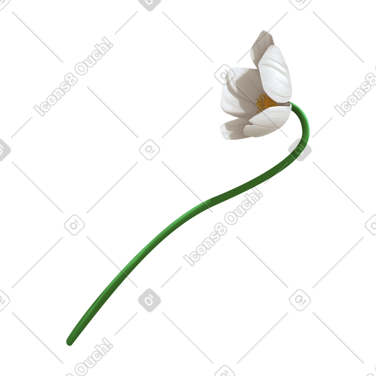Ilustração de Flor anêmona floco neve em no estilo Props para baixar em PNG, SVG