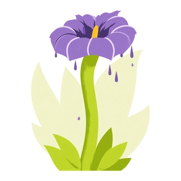 A large, blooming corpse flower with deep purple petals stands prominently in the center of the image. Raindrops are clinging to the velvety surface of the petals, reflecting light and creating a glistening effect. The green stalk of the flower is thick and textured, rising from a bed of lush green leaves. The background features a soft blur of more foliage, emphasizing the beauty of the rare flower. Small droplets of water are also pooling around the base of the flower, adding to the fresh, vibrant scene.