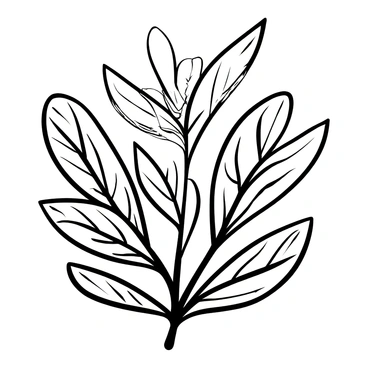 Sage
