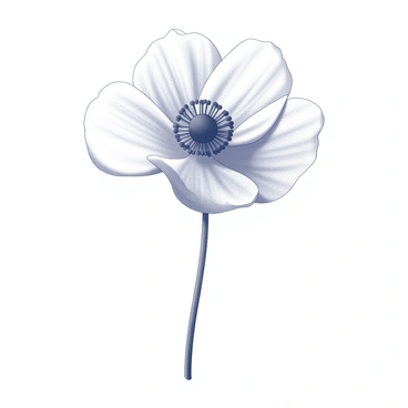 A single anemone flower with delicate petals extending outward. The flower is depicted with a central cluster of stamens and a contrasting darker center. The lines are clean and flowing, emphasizing the simplicity of its shape. The background is plain, allowing the flower to take center stage without any distractions. The overall composition conveys elegance through minimalism.
