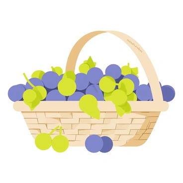 A wicker basket with a rounded shape and a handle, overflowing with freshly picked grapes. The basket is filled with a vibrant assortment of green and purple grapes, showcasing their natural shine and plumpness. Some grapes are hanging over the edges of the basket, while a few fallen grapes rest on the surface below. The background features a soft, muted color to highlight the vivid hues of the grapes and the texture of the wicker.