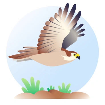 A hawk poised in mid-air, wings tucked, ready to dive towards its prey