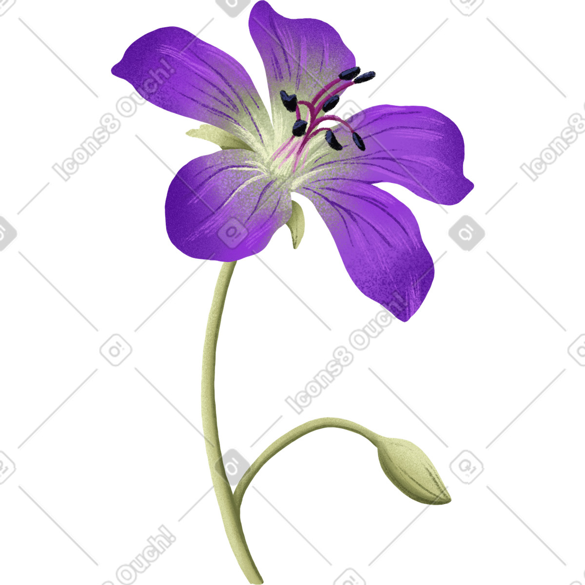 Illustration Purple flower and small bud dans le style Floral à télécharger aux formats PNG, SVG