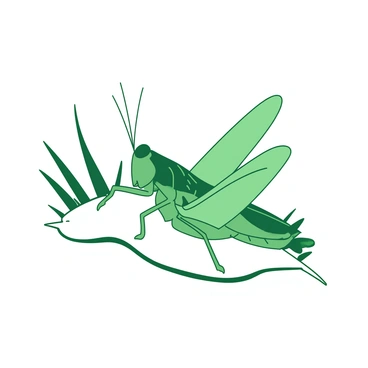A green grasshopper is gently gliding through the air while perched on a white leaf. The leaf is being carried by a light breeze, creating a sense of movement. The grasshopper's wings are slightly spread, showcasing their delicate texture. In the background, soft outlines of grass can be seen, adding to the scene's natural setting.