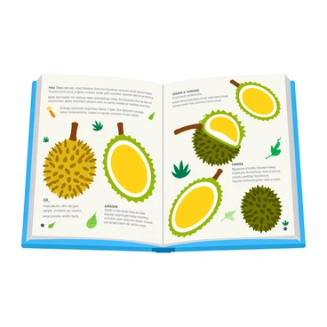 A vibrant book page featuring detailed illustrations of various durian species. Each durian is depicted with intricate textures on its spiky shell and rich yellow flesh. The page includes labeled facts about each species, highlighting their unique characteristics and habitat in clear, bold fonts. Surrounding the durians are small icons of tropical plants to emphasize their natural environment. The layout is colorful and engaging, inviting readers to explore the world of durians.