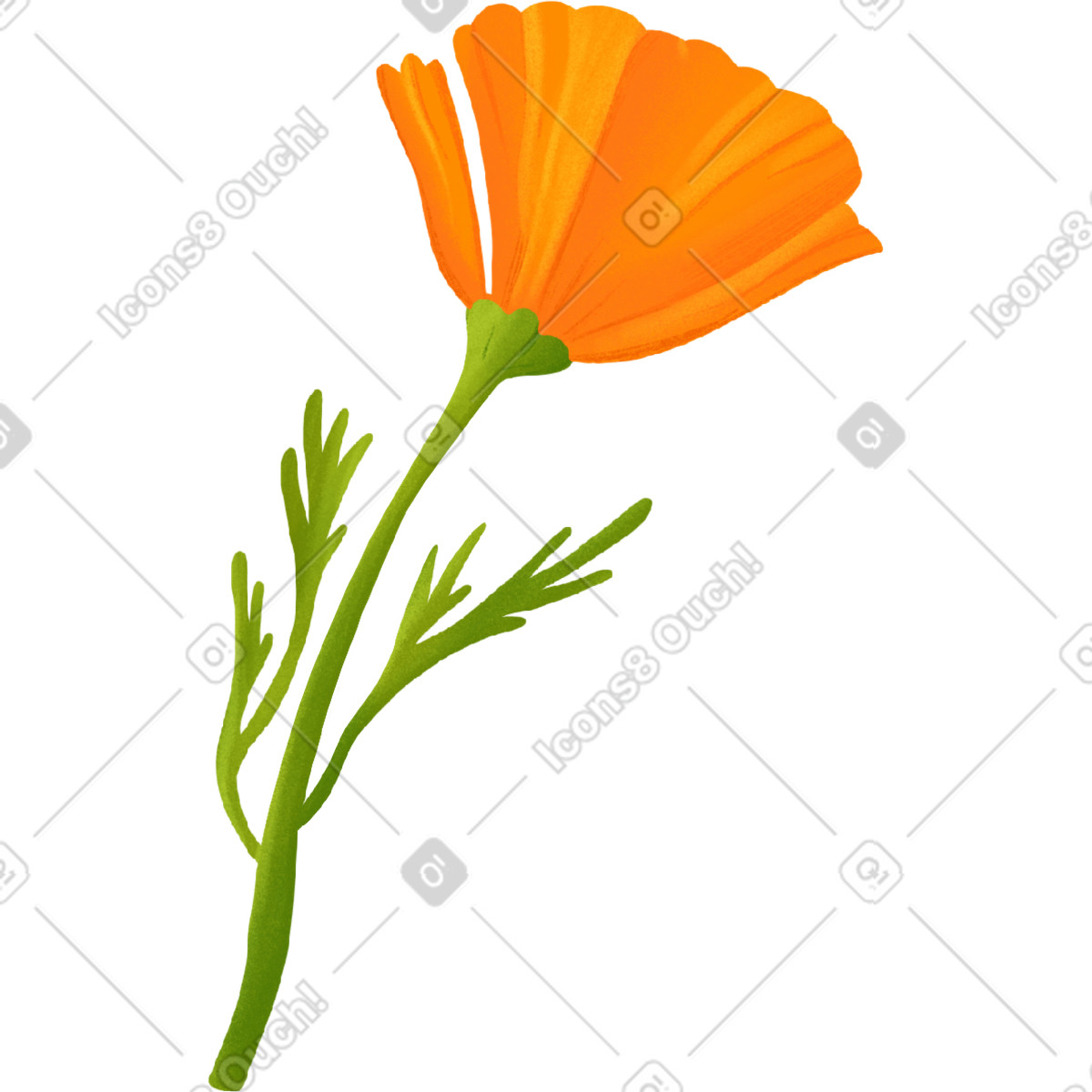 Ilustración Escolzia naranja en estilo Floral a descargar en PNG y SVG