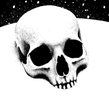 A cat skull is partially buried in a thick layer of white snow. The skull features distinct feline characteristics, such as elongated eye sockets and a set of sharp teeth. Snowflakes are gently falling all around, landing softly on the surface of the skull and the surrounding snow, creating a serene winter atmosphere. The contrast between the white snow and the detailed structure of the skull is prominent, highlighting the textures of both elements.