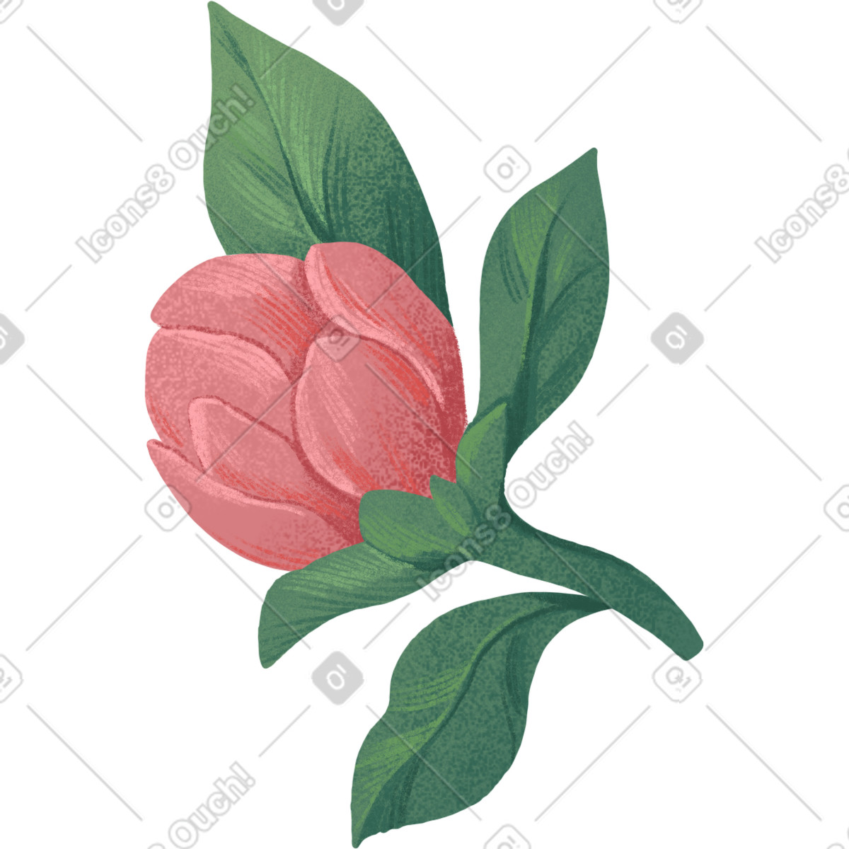 Illustration Small pale red bud dans le style Floral à télécharger aux formats PNG, SVG