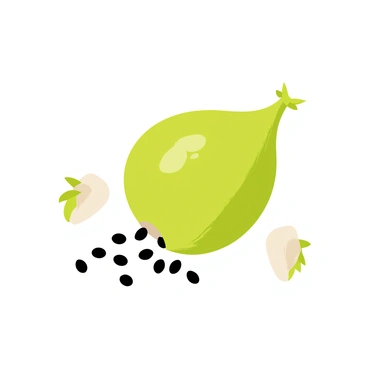 A close-up view of a poppy seed pod, showcasing its greenish-brown outer shell that is partially opened. The pod reveals tiny black seeds spilling out from the opening, scattered around it. Delicate texture details of the pod's surface are visible, highlighting its unique shape and the contrast between the smooth pod and the rough seeds. Soft natural light illuminates the scene, enhancing the colors and shadows of the pod and seeds.