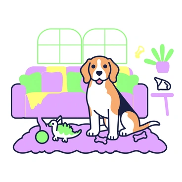 A beagle is sitting on a plush rug in a cozy living room. The beagle has a short coat with a distinctive brown and white pattern. Surrounding the beagle are various squeaky toys in different shapes and sizes, including a purple dinosaur, a green ball, and a purple bone. In the background, there is a comfortable couch with colorful pillows and a coffee table with a green plant on it. Light filters in through a window, illuminating the scene.