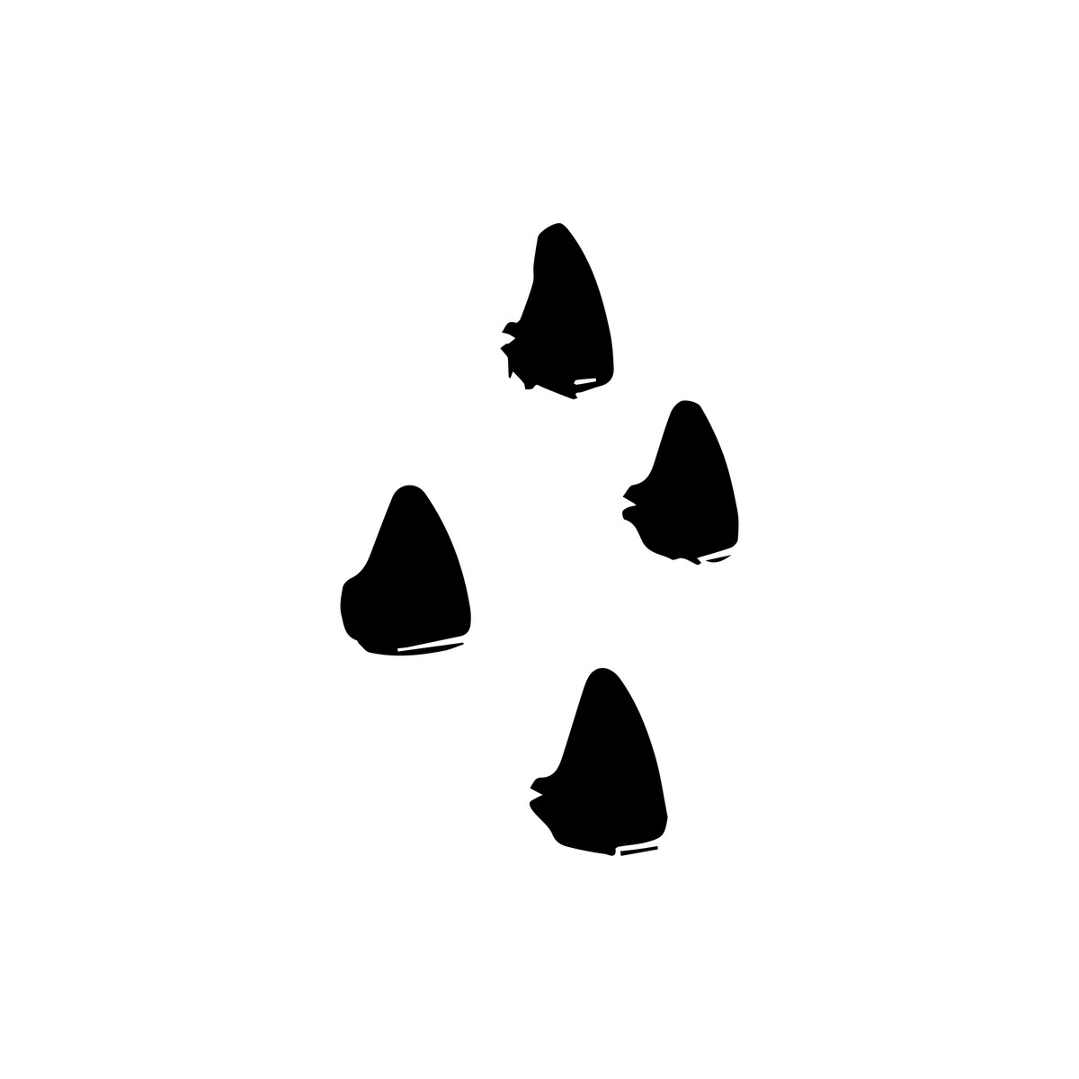 Scribbles illustration in PNG, SVG