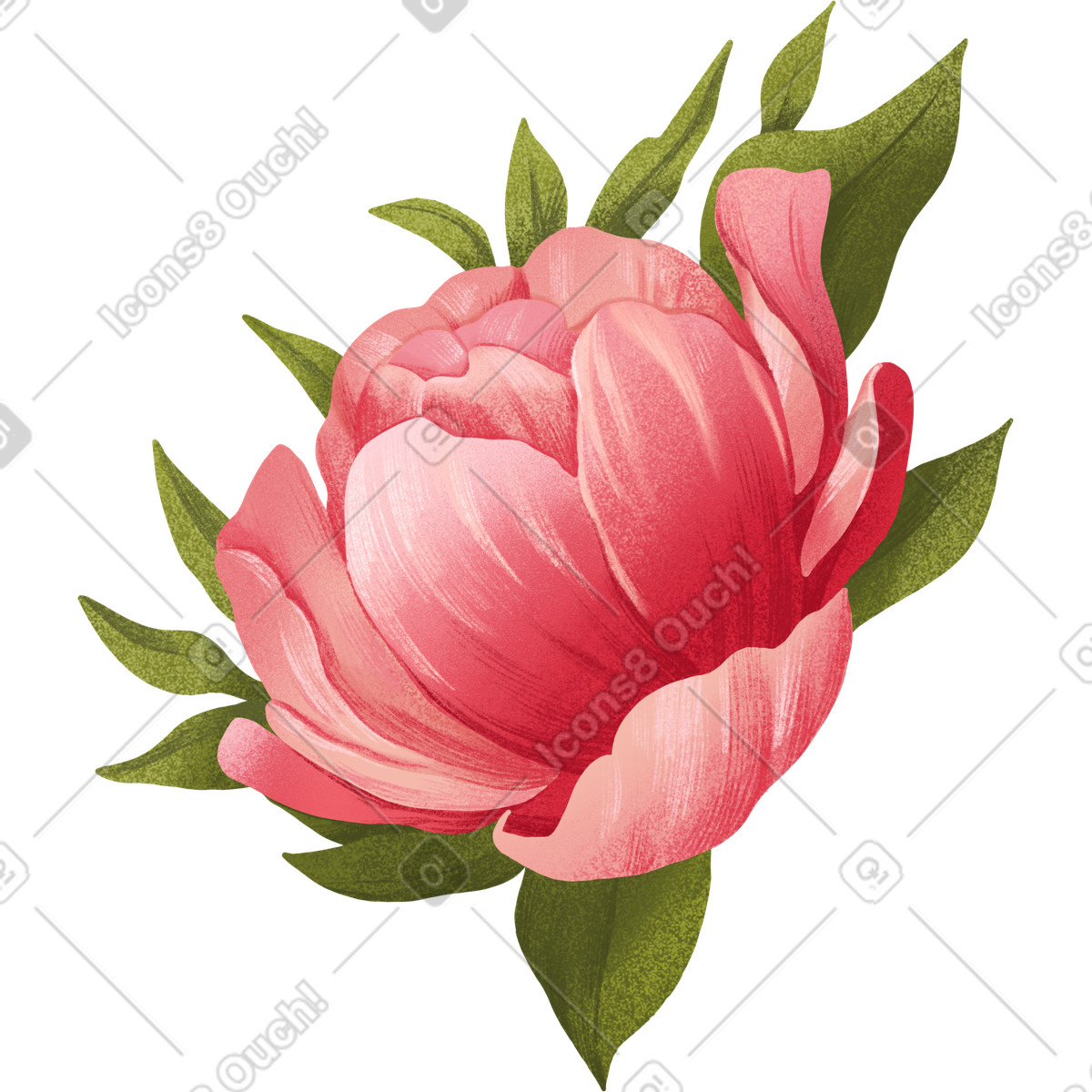 Large dark pink peony surrounded by green leaves illustration in Floral style download in PNG, SVG