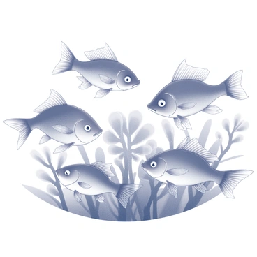 A close-up view of several fish interacting with their environment. The fish are swimming around and nibbling on algae that resembles blooming flowers. The algae has distinct, petal-like shapes and textures, contributing to the composition. The fish showcase various shapes and sizes as they approach the algae, creating a moment of natural interaction. The surrounding water is clear, allowing for a detailed view of both the fish and the floral-like algae.