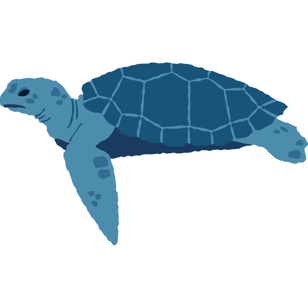 Sea turtle side illustration in Cherry style download in PNG, SVG