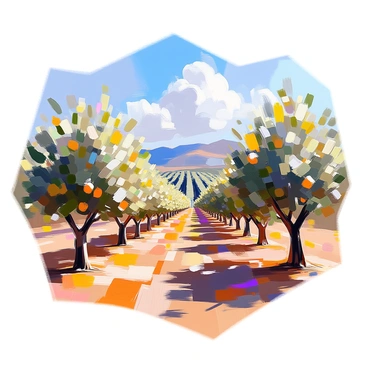 A scenic view of an olive grove features neatly arranged rows of lush green olive trees extending into the distance. The trees are laden with dark green leaves and clusters of small olives. The sun casts soft shadows on the ground, creating a dappled pattern on the earth below. In the background, gentle hills rise up, completing the tranquil landscape. Fluffy white clouds drift lazily across a blue sky, accentuating the serene atmosphere of the grove.