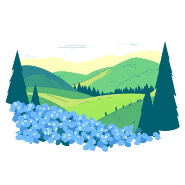 Pictures illustrations forget me nots