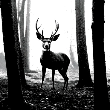A deer is standing in a dense forest, partially obscured by a thick blanket of fog. The deer has large antlers and a sleek body, appearing alert and curious. Surrounding the deer are tall, shadowy trees with intricate bark details, their outlines softened by the fog. The ground is covered in layers of fallen leaves and moss, adding texture to the scene. The atmosphere is still, with the fog creating a mystical feel around the deer and the trees.