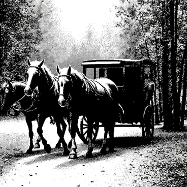 A large coach is being pulled by a team of four powerful horses. The horses are in motion, with their muscles visibly tensed as they stride through the forest. The coach has intricate details, including elegant carvings on its wooden surface and large wheels that are slightly muddy from the trail. The autumn forest surrounds the scene, with trees displaying a variety of leaf shapes and sizes, all showcasing the seasonal transition. Fallen leaves cover the ground, creating a natural carpet. Sunlight filters through the branches, casting dappled shadows on the path ahead.