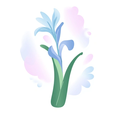 Gladiolus