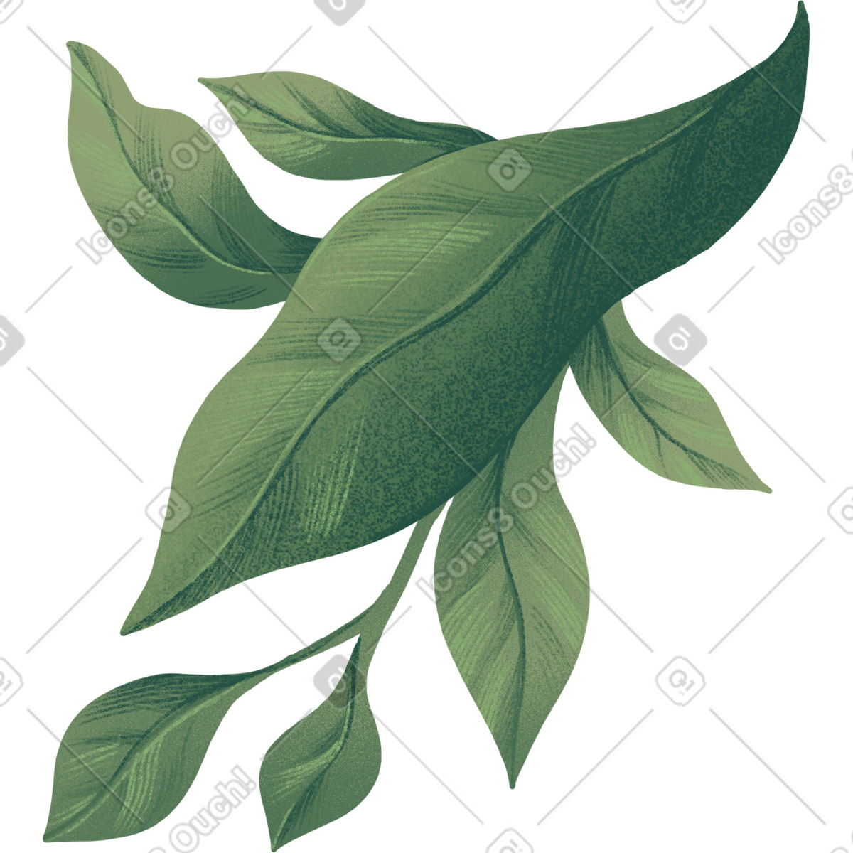 Large and small green leaves in a bunch illustration Floral style download PNG, SVG