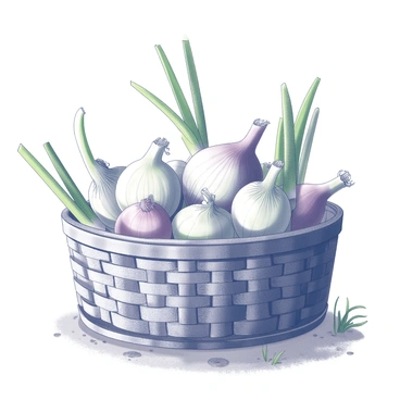 Onion