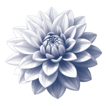 Dahlia
