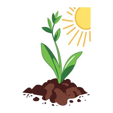 A tiny green plant is emerging from dark brown soil, displaying delicate leaves that are unfurling upward. The plant's stem is slender and vibrant, stretching towards a bright, warm sun that is partially visible in the upper corner. Rays of sunlight illuminate the soil, casting soft shadows around the base of the plant, enhancing its fresh and lively appearance. The surrounding soil is textured, with small pebbles scattered throughout, adding depth to the scene.
