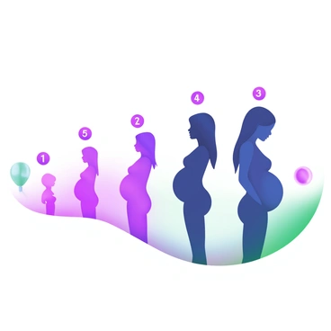 A modern pastel illustration showcasing the stages of human pregnancy through simple silhouettes. Each silhouette represents a different stage of pregnancy, from the early stages to the late stages, depicting the gradual growth of the belly. The silhouettes are placed against a soft, gradient background with gentle pastel colors. Each figure is distinctly labeled with numbers to indicate the progression of the pregnancy. The overall composition provides a clear visual narrative of the journey of human pregnancy.