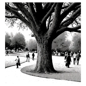 A large tree with a textured bark has "eyes" embedded within its trunk, appearing to observe the people walking by in a park. The tree stands tall and proud, with a wide canopy of leaves overhead. Around the base, there are a few scattered patches of grass, and a winding path runs nearby. Several passersby wander along the path, some are walking dogs, while others are chatting or enjoying the scenery. The tree's gaze seems to follow their movements, adding an element of intrigue to the park setting.