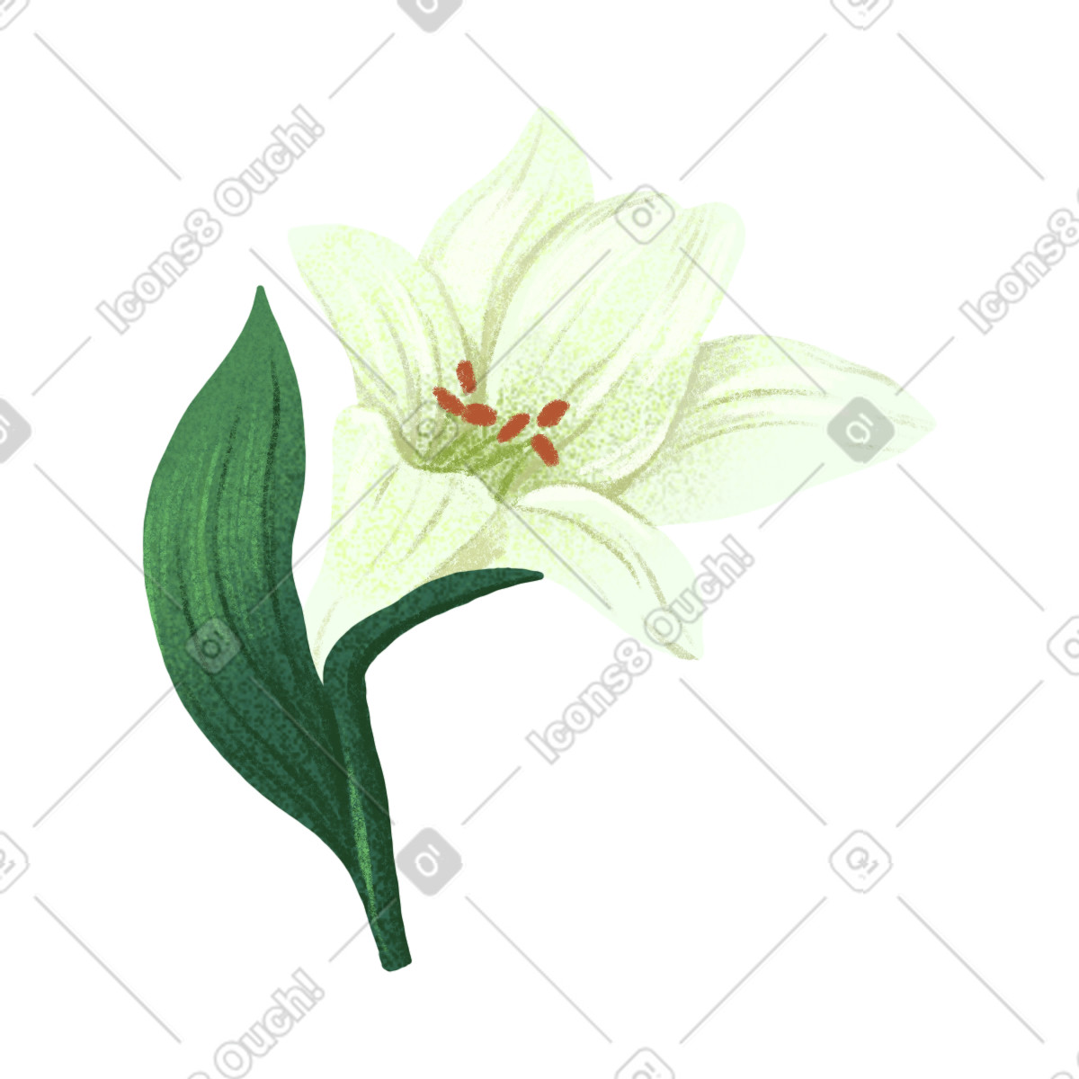 Floral スタイルの Little white lily のイラストをPNG、SVG形式でダウンロード