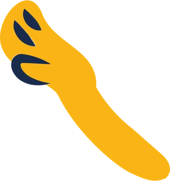 Hand PNG, SVG