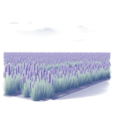 Endless rows of lavender flowers stretching across the field. Each plant stands tall with slender green stems and vibrant purple blossoms. The flowers are in full bloom, creating a dense carpet of color. The sky above is clear, with a few soft, white clouds drifting lazily. A gentle breeze causes the flowers to sway slightly, adding a sense of movement to the scene.