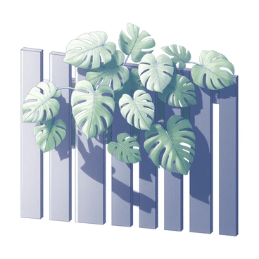 A series of large, glossy "Monstera leaves" are climbing up a "wooden fence." The leaves are vibrant and have characteristic splits and holes, showcasing their unique shape. The wooden fence consists of vertical slats, some of which are partially hidden by the thick foliage. The leaves cascade over the top of the fence, creating a lush, green curtain. The texture of the wood contrasts with the smooth surface of the leaves, emphasizing the natural elements in the scene.