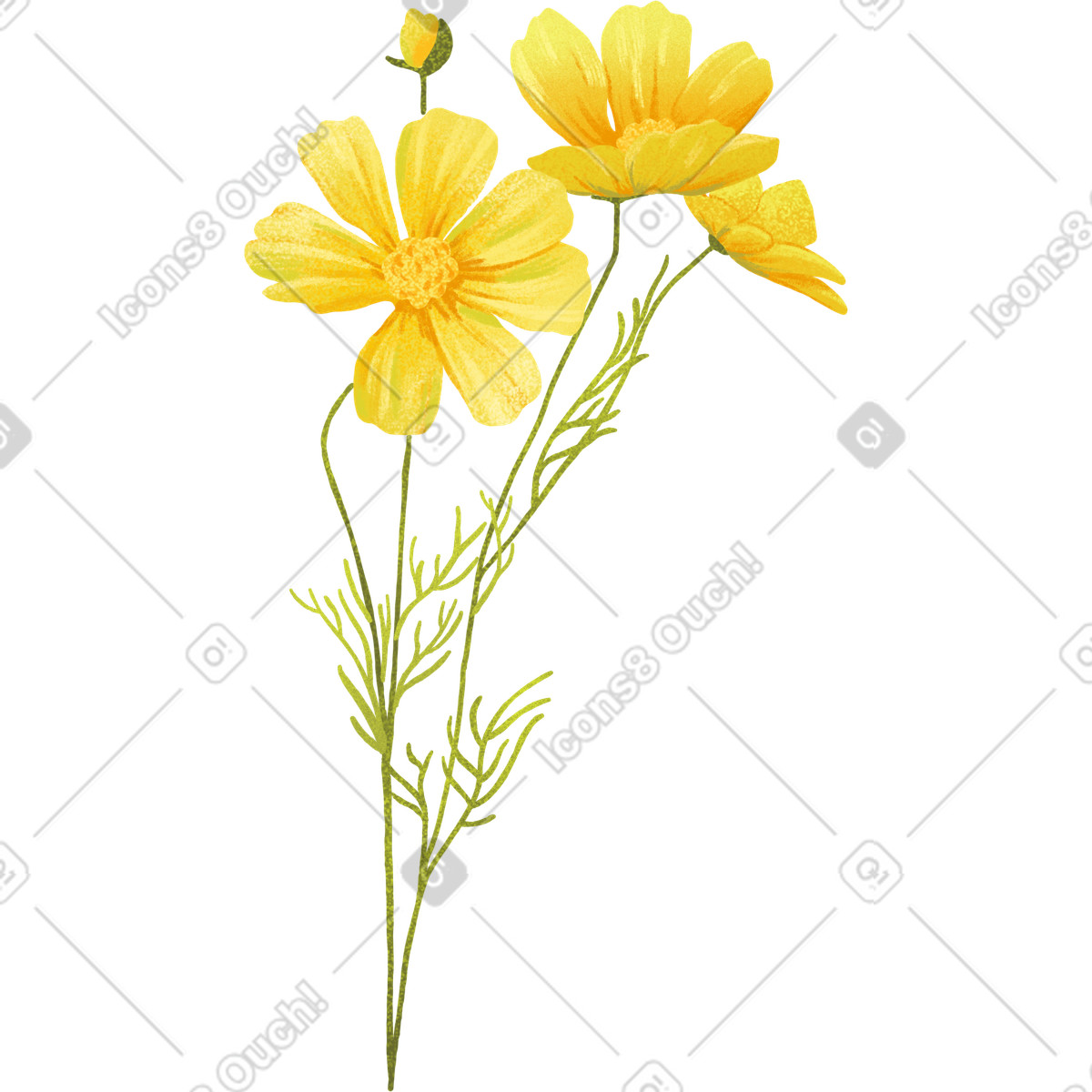 Иллюстрация Желтые нежные цветы и бутон на стебле в стиле Floral — скачать в форматах PNG, SVG
