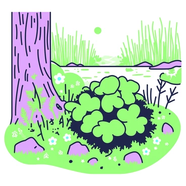 A detailed illustration of a poison ivy habitat. In the center, there is a cluster of poison ivy plants with three leaflets on each stem, prominently displaying their distinctive shape. Surrounding the plants, there is a mix of dense underbrush with green ferns and small flowering weeds. To the left, a tree trunk is visible, with rough bark, partially covered in green moss. Sunlight filters through the branches above, casting shadows on the forest floor, which is dotted with fallen leaves and small rocks. A small creek flows in the background, reflecting light and framed by clusters of green reeds. In the distance, more trees can be seen, creating a natural woodland setting.