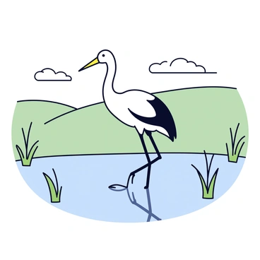 A lone crane with long legs is standing in shallow water. Its feathers are primarily white with some black accents on the wings. The water reflects the crane, creating a clear mirror image. Surrounding the crane are soft green grasses and a few sparse reeds that frame the scene. In the background, gentle hills rise against a sky with a few fluffy clouds, completing the tranquil landscape.