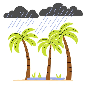 A scene depicting "palm trees bending" dramatically under the strong winds of a hurricane. The "leaves of the palm trees" are shown being whipped sideways by the forceful gusts. "Dark storm clouds" fill the sky, creating a dramatic atmosphere. "Rain is falling in diagonal sheets," showcasing the intensity of the storm. The ground is wet and "puddles are forming," reflecting the chaotic weather conditions.