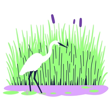 An egret hiding among tall, dense reeds along a marshy water's edge