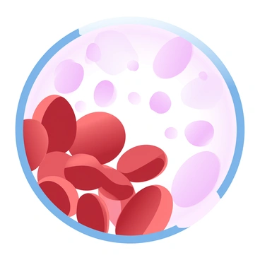 An illustration depicting a close-up view of red and white blood cells within a blood vessel. The red blood cells are round, biconcave discs with a deep red hue, densely populated in the foreground. They are contrasted against the larger, irregularly shaped white blood cells, which are a lighter shade of pink with variations in texture. The background shows a translucent blood plasma with subtle gradient pastel colors, enhancing the visibility of each cell type. The overall composition captures the dynamic nature of blood flow, with some red blood cells appearing to move past the stationary white blood cells.