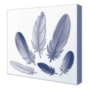 A collage of colorful bird feathers arranged artistically on a canvas