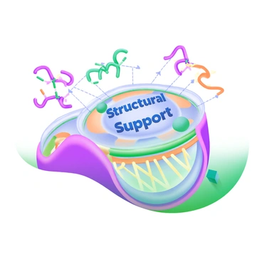 A modern pastel illustration depicting proteins anchoring the plasma membrane to the cell's cytoskeleton for structural support. The image shows a detailed view of a cell membrane with the words "Structural Support" in bold, blue letters prominently displayed at the center. Surrounding the membrane are stylized proteins represented as colorful shapes with connecting lines, illustrating their anchoring function. At the base of the cell, a simplified representation of the cytoskeleton is visible, with filaments in soft green and yellow hues, creating a supportive structure beneath the membrane.