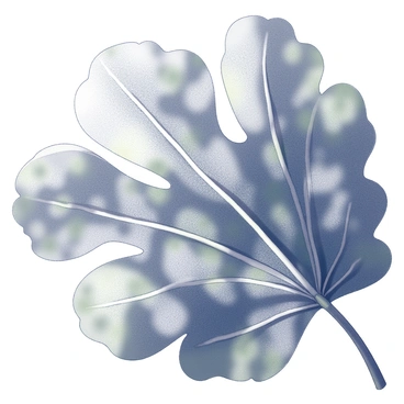 A close-up view of a fig tree leaf. The leaf has a large, lobed shape with prominent veins clearly visible. Sunlight is filtering through the leaf, casting intricate patterns of light and shadow. The edges of the leaf are slightly serrated, adding texture to the composition. The background consists of soft, blurred greenery, enhancing the focus on the detailed texture and structure of the leaf.