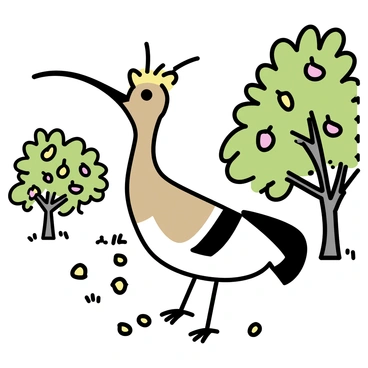 A hoopoe pecking at fallen fruits on the ground in a lush orchard.