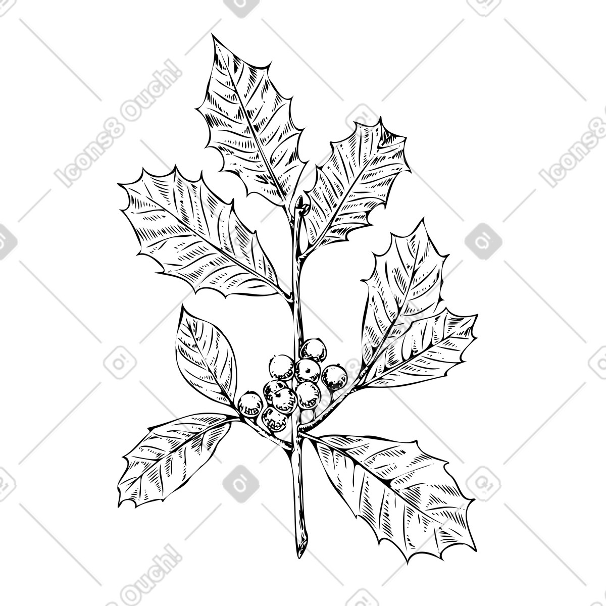 Amerikanischer stechpalmenzweig mit beeren-Illustration im Experimental-Stil als Download in PNG, SVG
