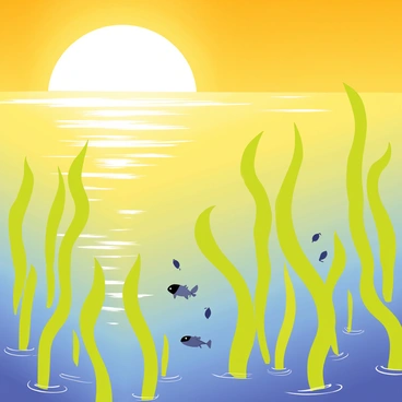 A vibrant sunrise with golden hues casting light over a kelp forest. The sun is partially visible on the horizon, creating a warm glow. Tall, flowing strands of green kelp are swaying gently in the water. The surface of the water reflects the golden light, creating a shimmering effect. Small fish are swimming among the kelp, adding lively movement to the scene.