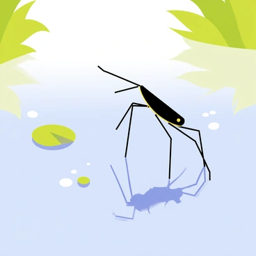 A water strider insect with long, slender legs is gracefully standing on the surface of a calm lake. The insect features a shiny, dark body that reflects the sunlight. Its legs are extended outward, creating ripples on the water's surface. Surrounding the water strider, delicate lily pads float gently, and small bubbles can be seen rising from below. The surface of the lake is a clear blue, with soft reflections of surrounding greenery and a clear sky above.