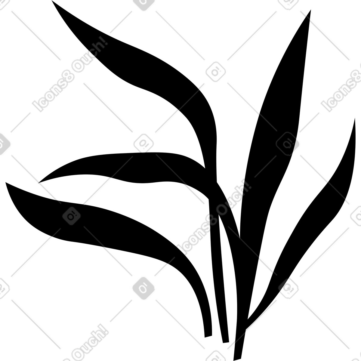 Ilustración Hierba negra en estilo Amani a descargar en PNG y SVG