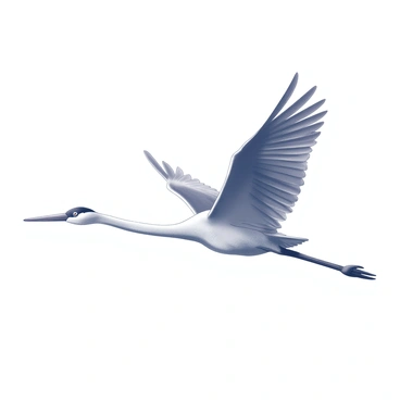 A crane in mid-flight with its wings fully spread, showcasing the intricate details of its feathers. The bird is captured from a close-up perspective, emphasizing its elongated neck and sleek body. The background features a clear sky, providing a stark contrast to the crane's form. The scene highlights the grace and power of the bird as it soars through the air.